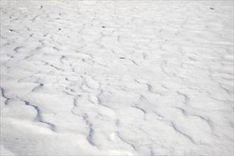 Snow drifts caused by wind from powder snow look like dunes and form bizarre patterns and structures,