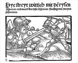 The hero Wittich in battle with the giant Asperian, facsimile of a woodcut from the Heldenbuch zu Strasbourg-Hagenau