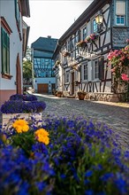 Old town with half-timbered houses around the Electoral Castle on the banks of the Rhine, Eltville am Rhein