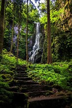 Waterfall with old stone steps in the green forest, the Burgbach waterfall near Schapbach in the Black Forest