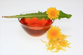 Dandelion syrup, dandelion honey