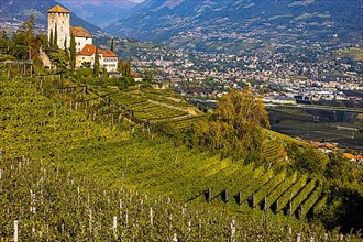 Lebenberg Castle overlooking vineyards, with the spa town of Merano in the background
