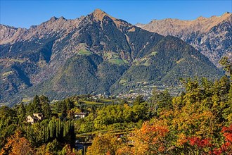 Autumn colours in the gardens of Trauttmansdorff Castle, in the background the Mutspitze