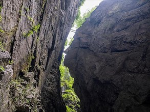 Breitachklamm gorge near Oberstdorf, Oberallgaeu