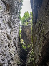 Breitachklamm gorge near Oberstdorf, Oberallgaeu