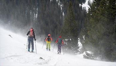 Three ski tourers, snowstorm
