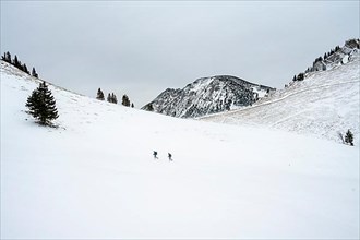 Two lonely ski tourers, Taubenstein