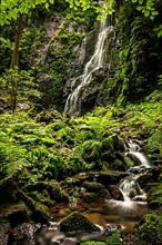 Waterfall with stream in the green forest, the Burgbach waterfall near Schapbach in the Black Forest