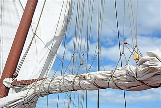 Sails, white