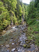River Breitach in the Breitachklamm gorge near Oberstdorf, Oberallgaeu