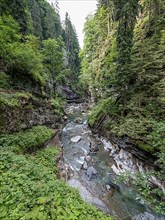 River Breitach in the Breitachklamm gorge near Oberstdorf, Oberallgaeu