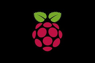 Raspberry Pi, Logo