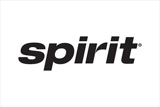 Spirit Airline, Logo