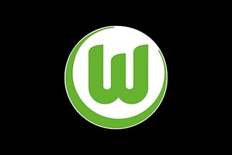 VfL Wolfsburg, Logo