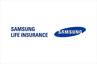 Samsung Life Insurance, Logo