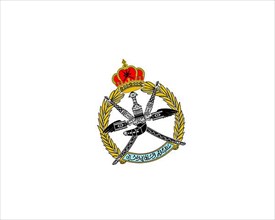 Royal Air Force of Oman, Rotated Logo