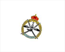 Royal Air Force of Oman, rotated logo