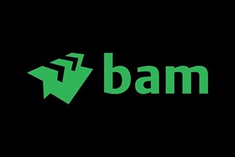 Royal BAM Group, Logo
