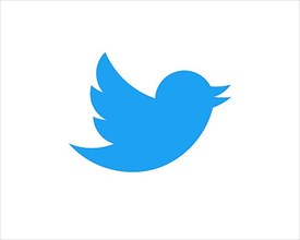 Twitter, rotated logo
