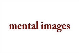 Mental Images, Logo