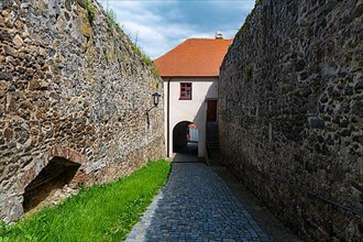 Unesco site Jewish Quarter and St Procopius' Basilica in Trebic, Czech Republic