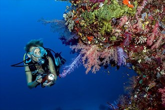Sport diver in bikini looking at illuminated tropical coral reef with stony corals,