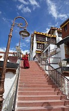 Stairs at Diskit Monastery or Deskit Gompa, Hunder