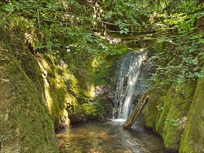 Edelfrauengrab waterfall of the Gottschlag stream in the Black Forest National Park near Ottenhoefen, Edelfrauengrab waterfalls