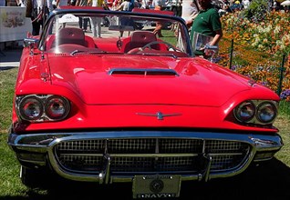 Red Ford Thunderbird, classic car meeting