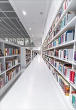Bookshelves of the Modern Library, Architecture