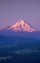 Mount Hood at sunrise and Hood River Valley farms & orchards, Oregon
