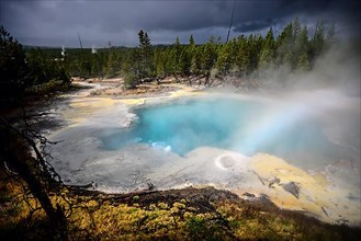 Norris Geyser Basin in Yellowstone National Park, USA