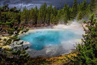 Norris Geyser Basin in Yellowstone National Park, USA