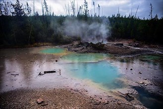 Norris Geyser Basin in Yellowstone National Park, USA