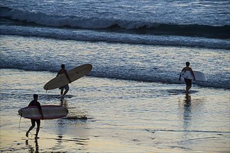 Surfers in backlight in the ocean of Del Mar, California