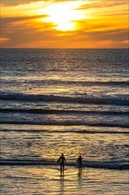 Surfer at sunset, Del Mar