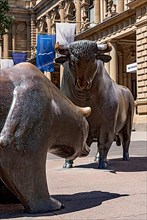 Bull and Bear on the Stock Exchange Square in front of the Frankfurt Stock Exchange, bronze sculptures by Reinhard Dachlauer