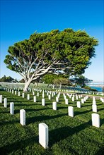 Fort Rosecrans National Cemetery, Cabrillo National monument