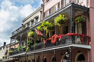 French colonial houses, french quarter