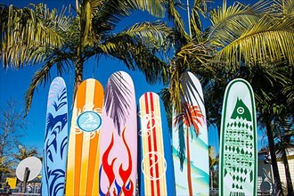 Surfboards in the seaworld aquarium, San Diego