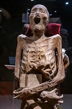 Museum of the Mummies, Unesco site Guanajuato