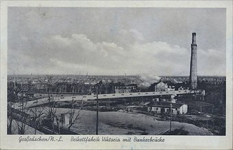 Grossraeschen, briquette factory Viktoria with bunker bridge