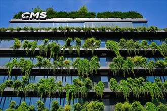Facade greening on new building, CMS Hasche Sigle office building