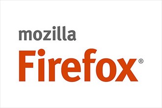 Firefox 2, Logo