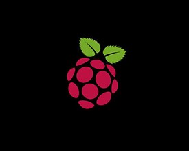 Raspberry Pi, rotated logo