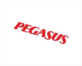 Pegasus Airline, Rotated Logo