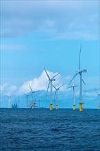 Offshore wind farm Meerwind, economic zone