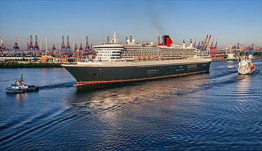 Cruise ship, transatlantic liner Queen Mary 2 on the Elbe in the port of Hamburg in the early morning sun