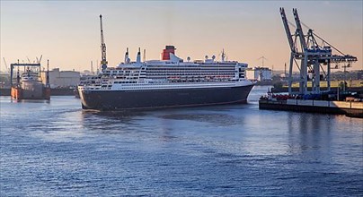 Cruise ship, transatlantic liner Queen Mary 2 on the Elbe in the port of Hamburg in the early morning sun