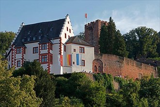 Mildenburg, Miltenberg